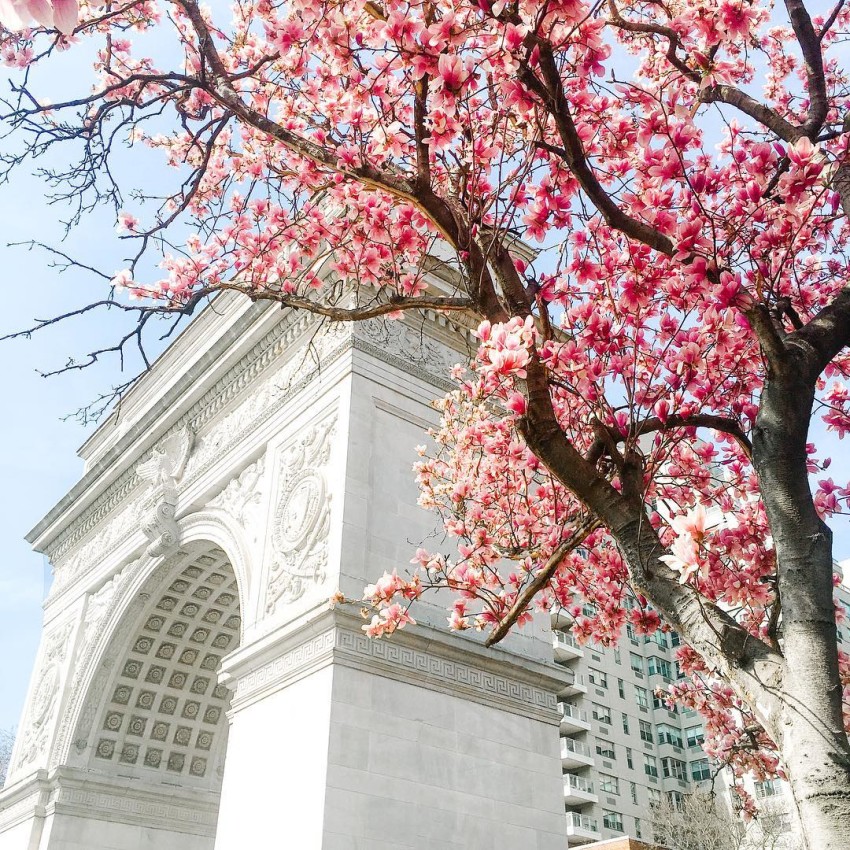 Spring in New York City beyond blessed