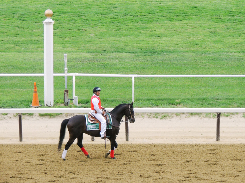 Belmont Stakes beyond blessed-11