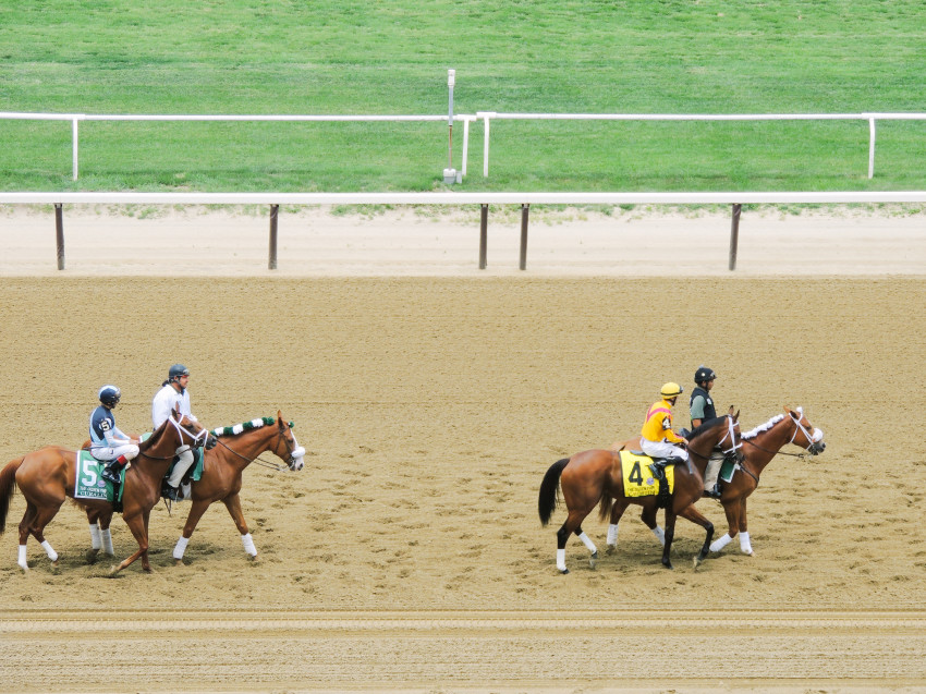 Belmont Stakes beyond blessed-17