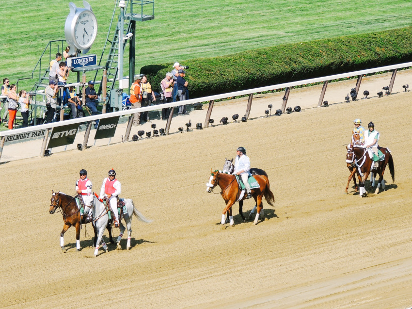 Belmont Stakes beyond blessed-24