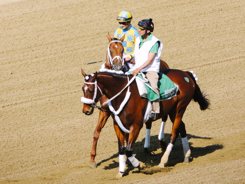 Belmont Stakes beyond blessed-28