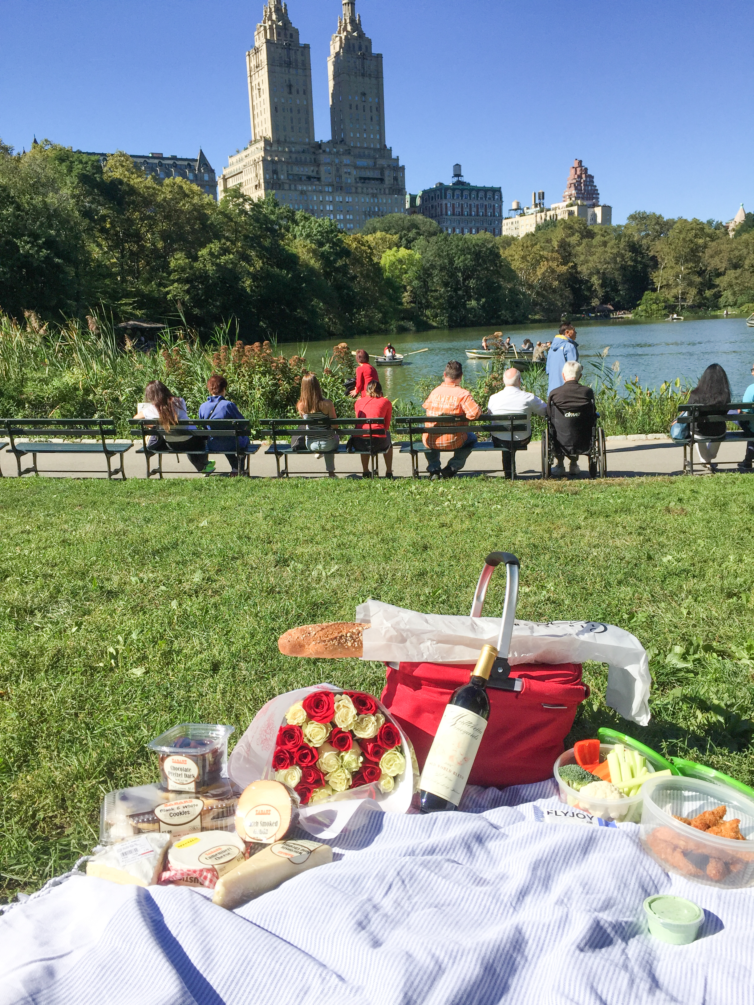 picnic in park