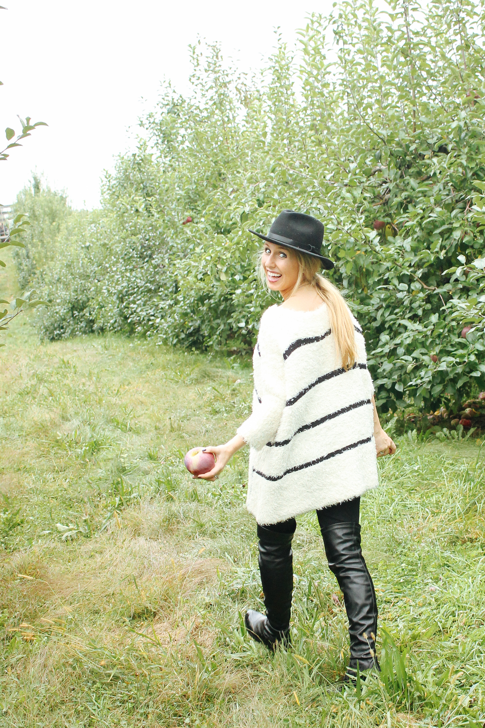 Apple Picking in the Fall