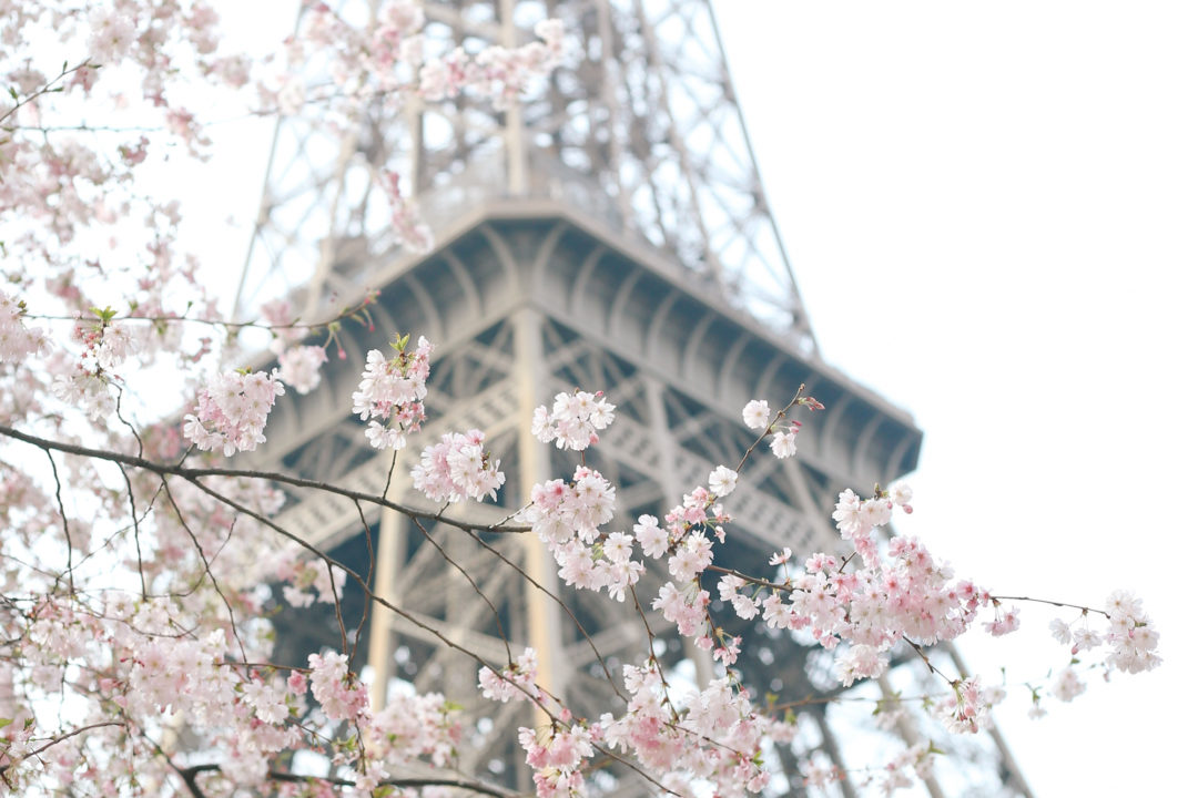 Paris in the Spring