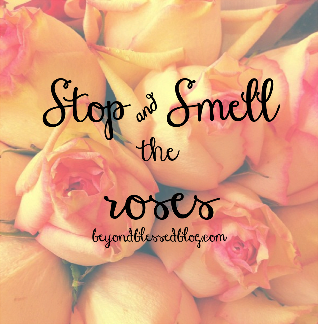 stop-smell-the-roses-beyond-blessed